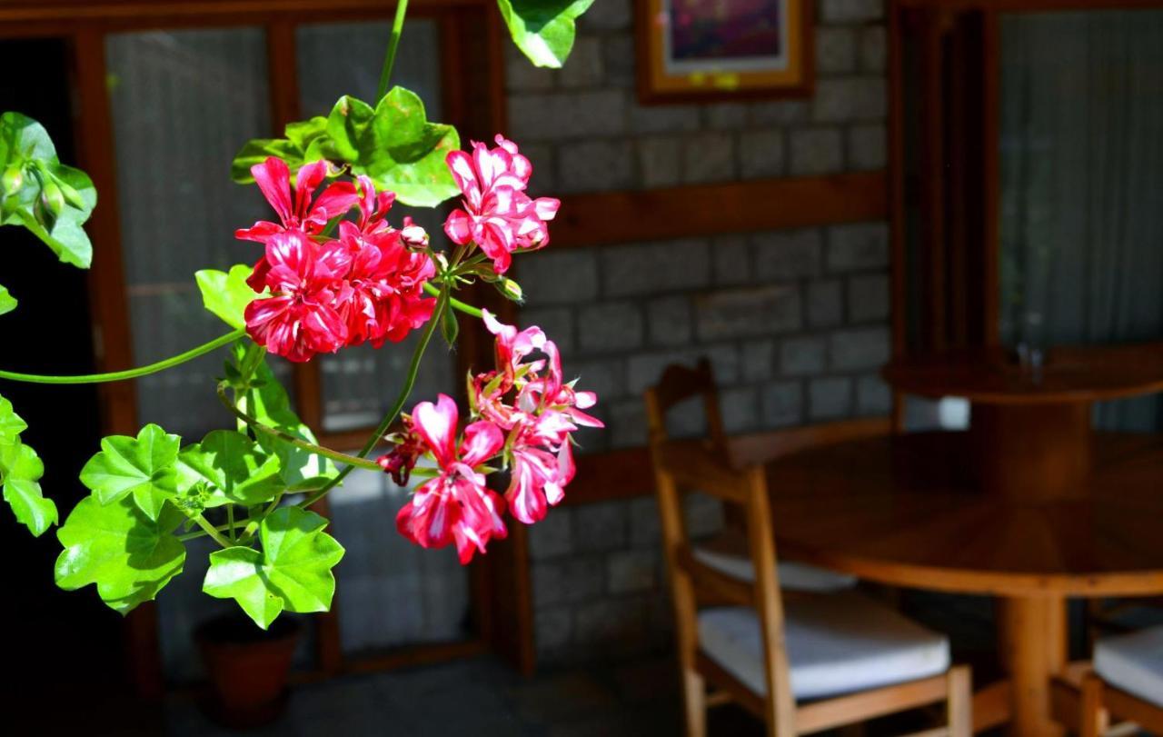 Holiday Home International -Vivaan Stays Manali  Ngoại thất bức ảnh